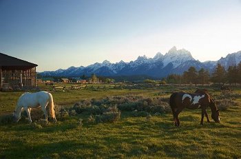 Ranch Grand Teton